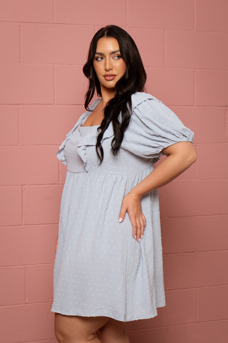 Plus Size Dulce Swiss Dot  Dress - Blue